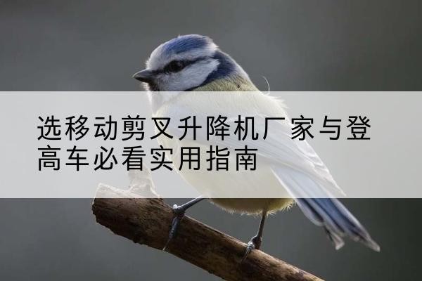 博乐电动升降机厂家-选移动剪叉升降机厂家与登高车必看实用指南