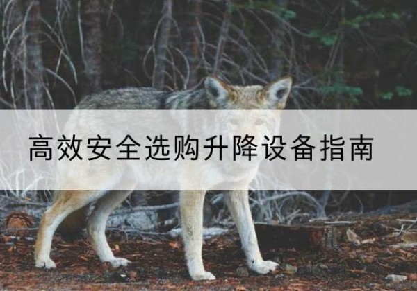 博乐升降货梯厂家推荐-*安全选购升降设备指南